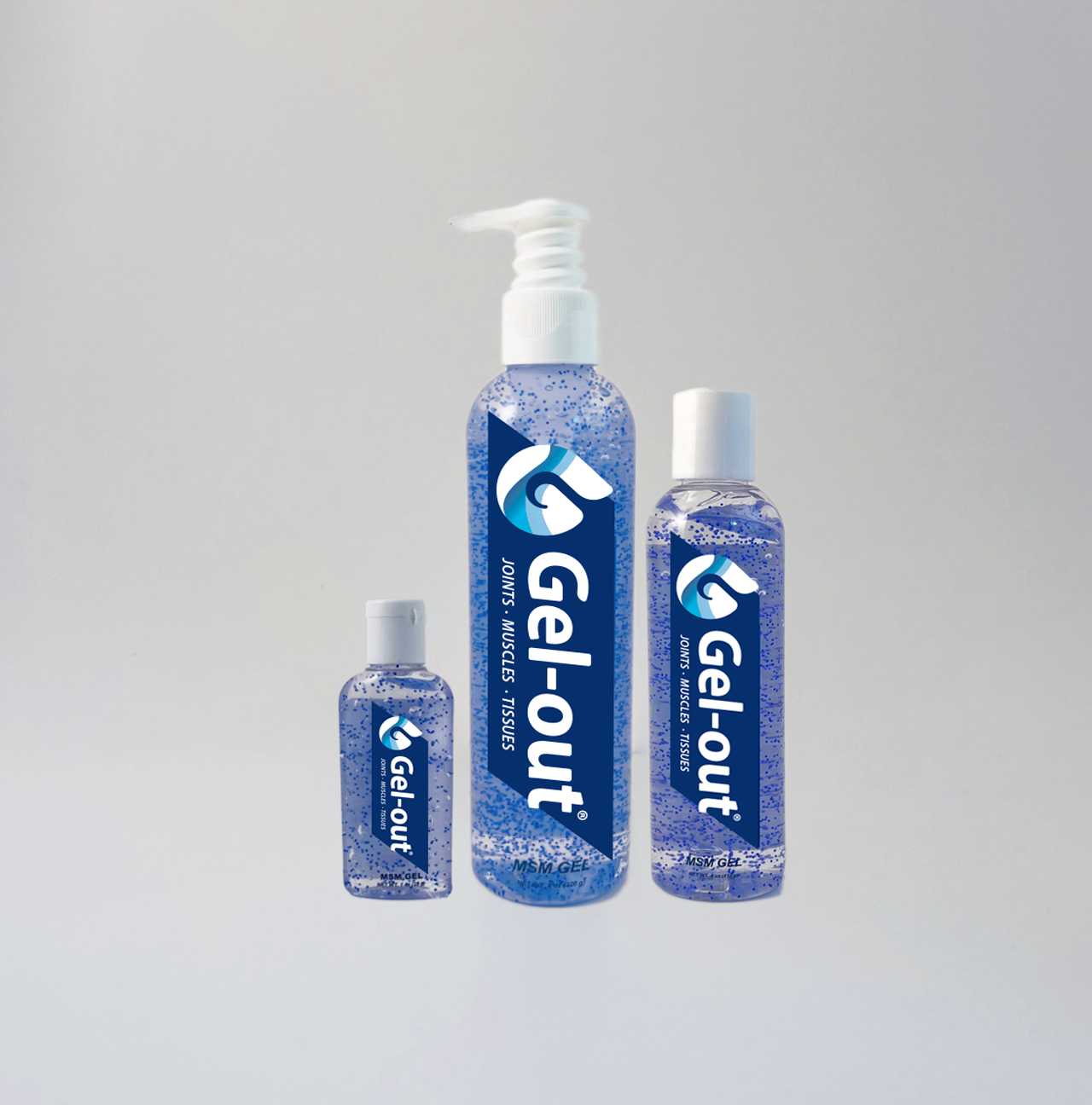 MSM Topical Gel — full product family lineup